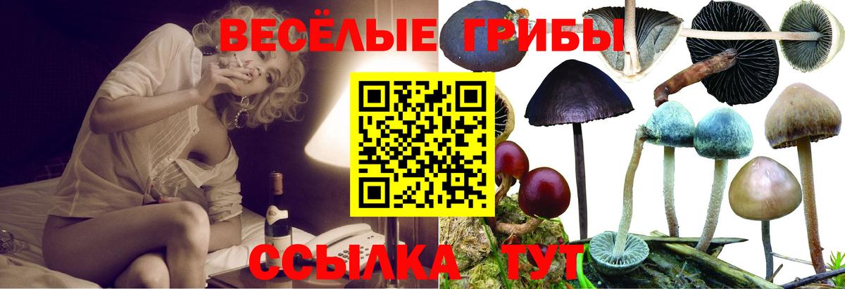Галлюциногенные грибы прущие грибы Таганрог